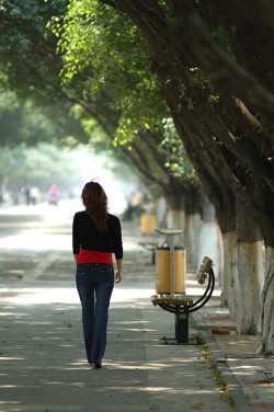 ☆〜並木道〜☆ ☆〜並木道〜☆