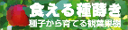 �H����펪�}��