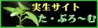 ���E�Ղ�`��