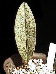 b_sp16_0.jpg