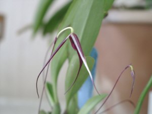b_sp18_0.jpg