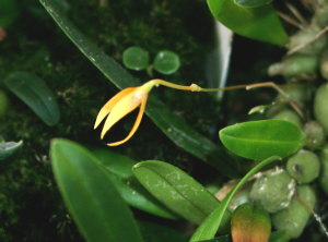 b_sp19_0.jpg