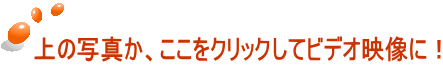 上の写真か、ここをクリックしてビデオ映像に！