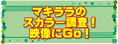 マキララの スカラー調査！ 映像にGo！ 