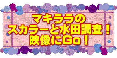 マキララの スカラーと水田調査！ 映像にGo！