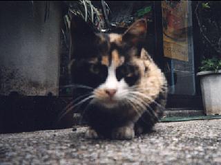 07
