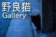 Photo Gallery m.h