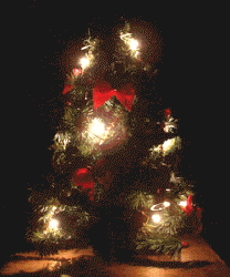 メリークリスマス♪