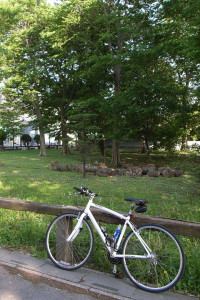 木陰は気持ちいい 木陰は気持ちいい