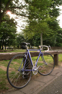 だいぶ良い感じ♪ だいぶ良い感じ♪