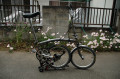 brompton_004.jpg brompton_004.jpg