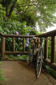 asukayama_01.jpg asukayama_01.jpg