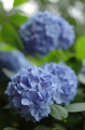 asukayama_05.jpg asukayama_05.jpg