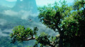 AVATAR_BLU-RAY.jpg AVATAR_BLU-RAY.jpg