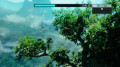 AVATAR_DVD.jpg AVATAR_DVD.jpg