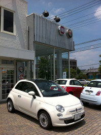 FIAT 500を見に行って来ました FIAT 500を見に行って来ました
