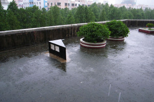 雨 雨