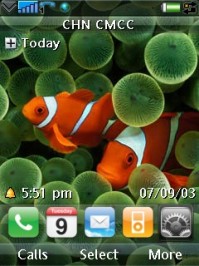 iPhone? iPhone?