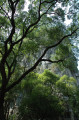 guilin_32.jpg guilin_32.jpg