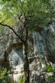 guilin_34.jpg guilin_34.jpg