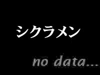 シクラメン