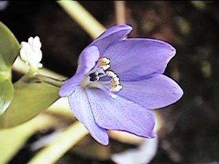 �~�Y�A�I�C(1)