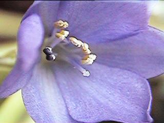 �~�Y�A�I�C(2)