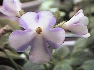 �|�j�[���C�h