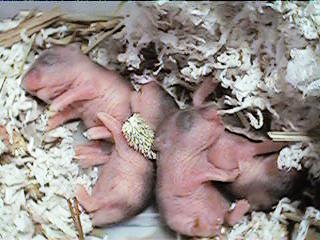 ���т���4