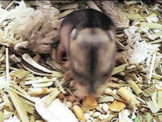 ���т���6