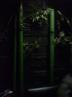 id_20081202_005