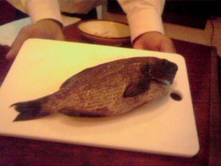 id_20090414_004