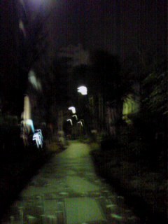 id_20100310_026