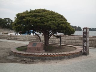 id_20110505_020