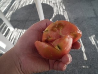 id_20110818_106