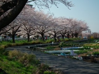 id_20120509_038
