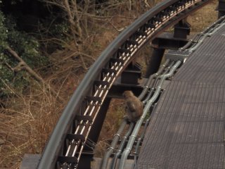 id_20130429_037