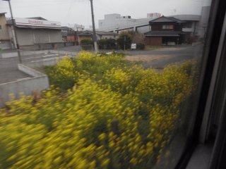 id_20130505_027