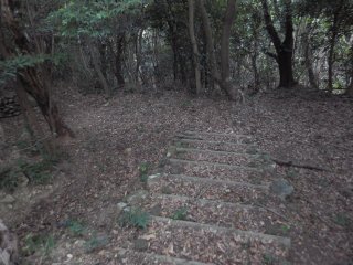 id_20130509_019