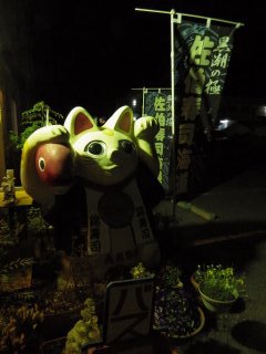 id_20130513_008
