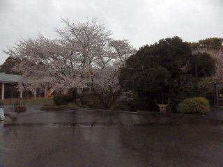 id_20130517_000