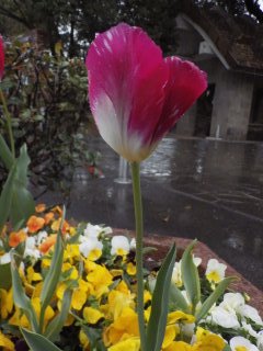 id_20130517_002