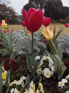 id_20130517_009
