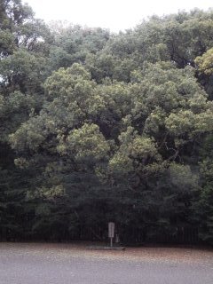 id_20130520_031
