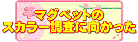 マグペットの スカラー調査に向かった 