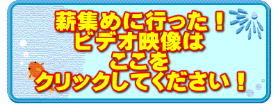 薪集めに行った！ ビデオ映像は ここを クリックしてください！