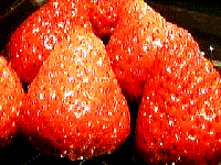 fruits
