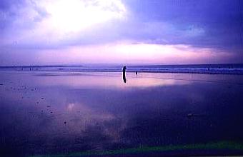 p99016a6�FSunsetBeach