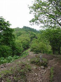 Rւ̓