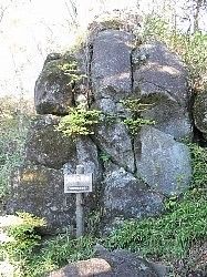 单